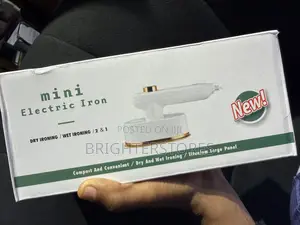 Mini Electric Iron ; Dry Ironing / Wet Ironing