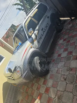 Toyota Land Cruiser Prado 2002 Gray