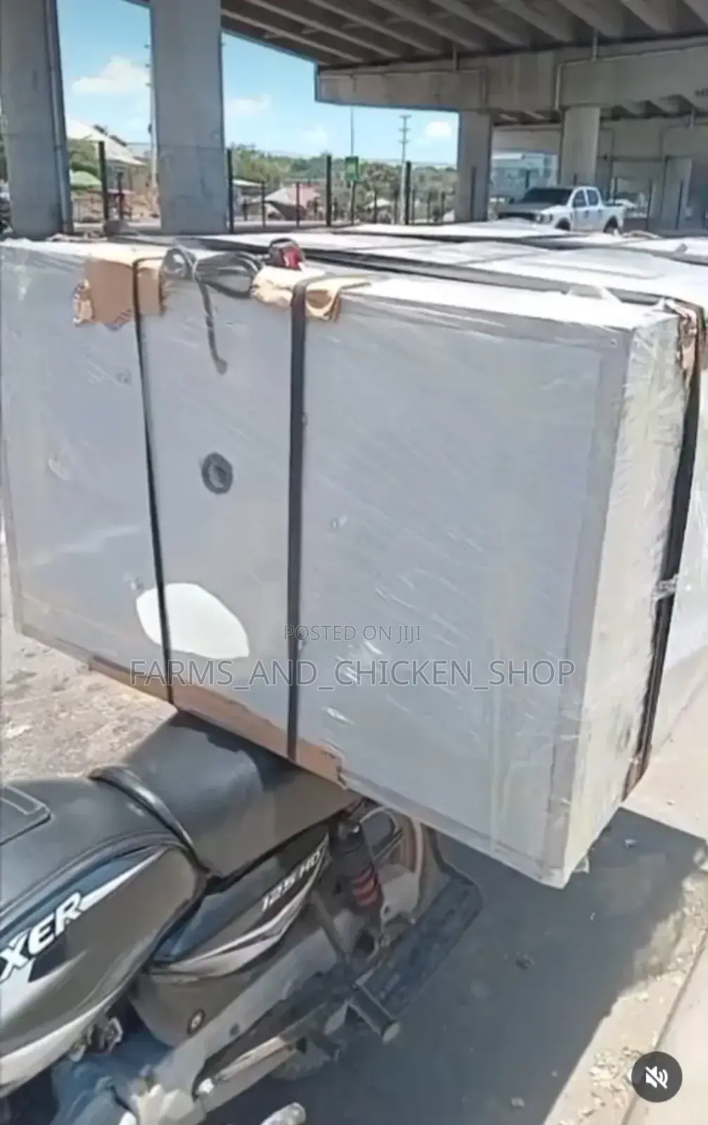1056 Egg Incubator