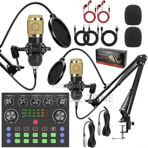 Studio Recoding Microphone Condenser Kit Set 2mic