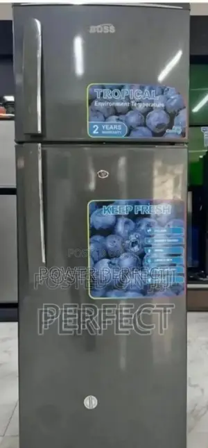 *Boss Fridge Bs 202 Tsh