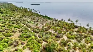 14 Acres White Sand Beach Plot for Sale at Mwalongo, Tanga