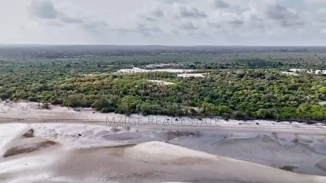 Drone Photos: 40 Acres Beachfront for Sale in Mkwaja - Pangani,Tanga