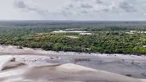 Drone Photos: 40 Acres Beachfront for Sale in Mkwaja - Pangani,Tanga