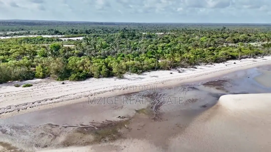 Drone Photos: 40 Acres Beachfront for Sale in Mkwaja - Pangani,Tanga