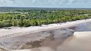 Drone Photos: 40 Acres Beachfront for Sale in Mkwaja - Pangani,Tanga