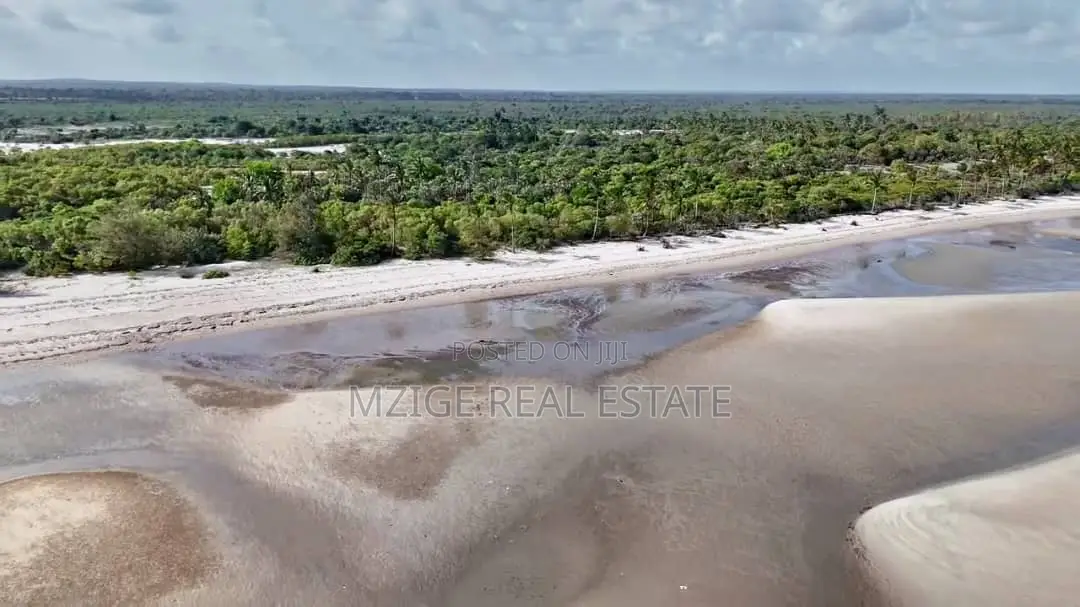 Drone Photos: 40 Acres Beachfront for Sale in Mkwaja - Pangani,Tanga