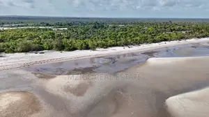 Drone Photos: 40 Acres Beachfront for Sale in Mkwaja - Pangani,Tanga