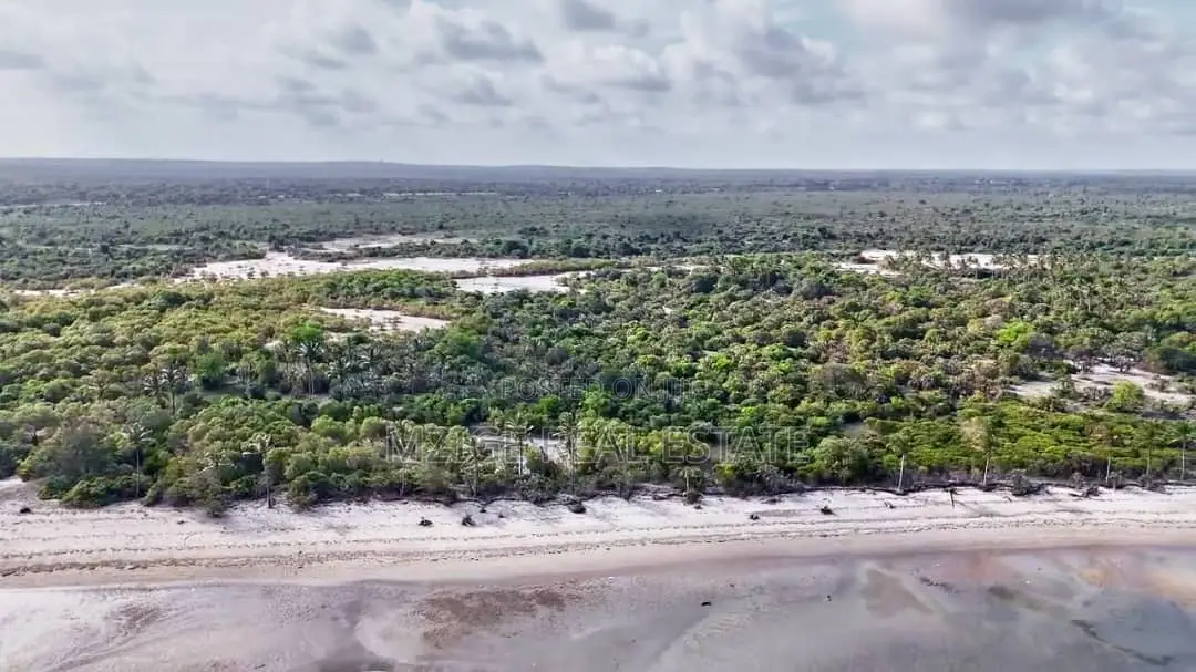 Drone Photos: 40 Acres Beachfront for Sale in Mkwaja - Pangani,Tanga