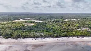 Drone Photos: 40 Acres Beachfront for Sale in Mkwaja - Pangani,Tanga