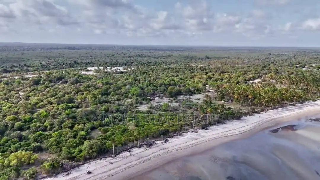 Drone Photos: 40 Acres Beachfront for Sale in Mkwaja - Pangani,Tanga