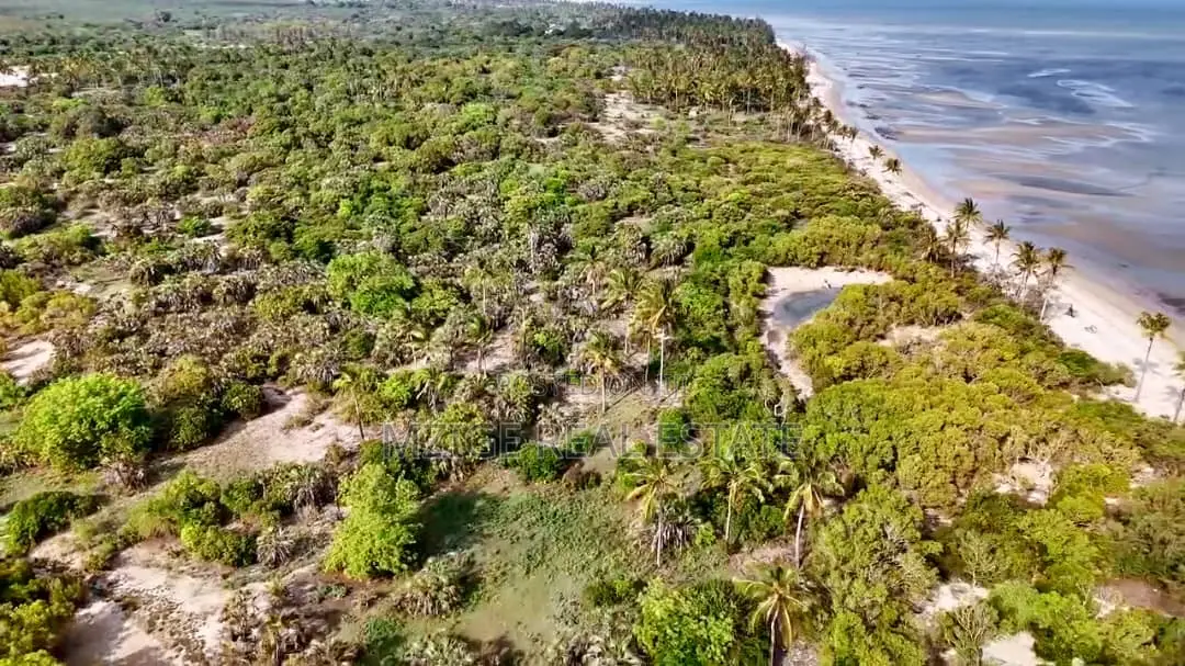 Drone Photos: 40 Acres Beachfront for Sale in Mkwaja - Pangani,Tanga