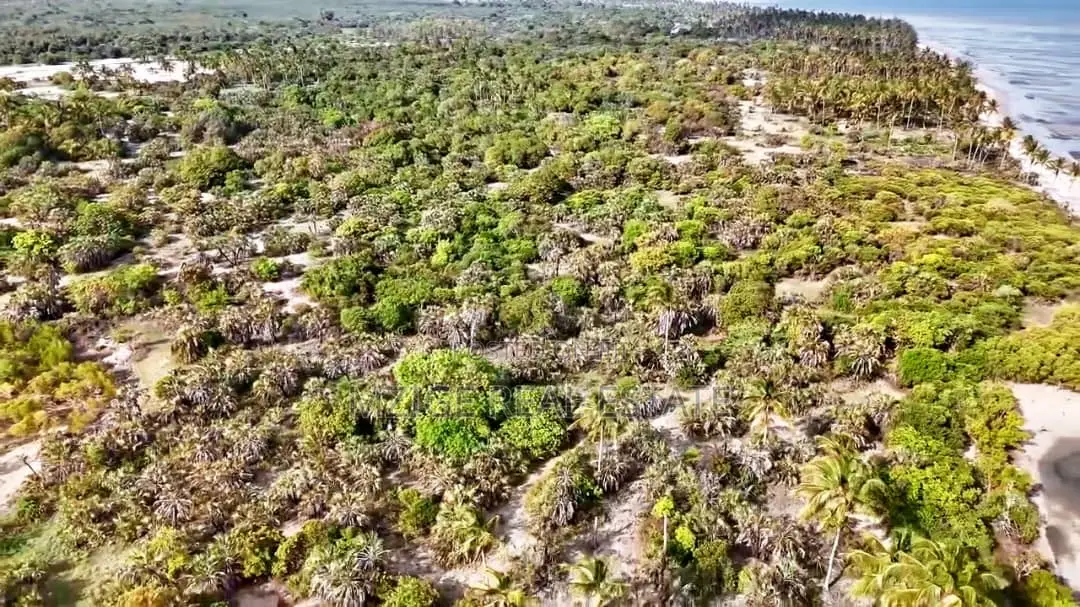 Drone Photos: 40 Acres Beachfront for Sale in Mkwaja - Pangani,Tanga