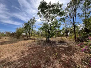 4.9acres Limegusa Barabara Ya Maliasili Inauzwa Karatu-Mjini