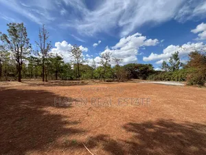 4.9acres Limegusa Barabara Ya Maliasili Inauzwa Karatu-Mjini