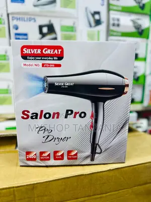 Silver Great Hair Dryer