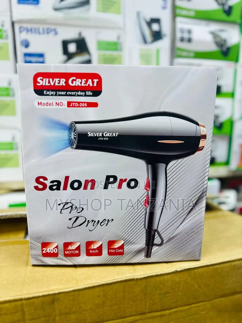 Silver Great Hair Dryer