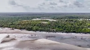 Beach Plot With 40 Acres for Sale at Mkwaja Tanga