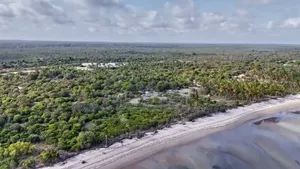 Beach Plot With 40 Acres for Sale at Mkwaja Tanga