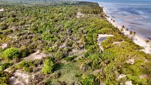 Beach Plot With 40 Acres for Sale at Mkwaja Tanga