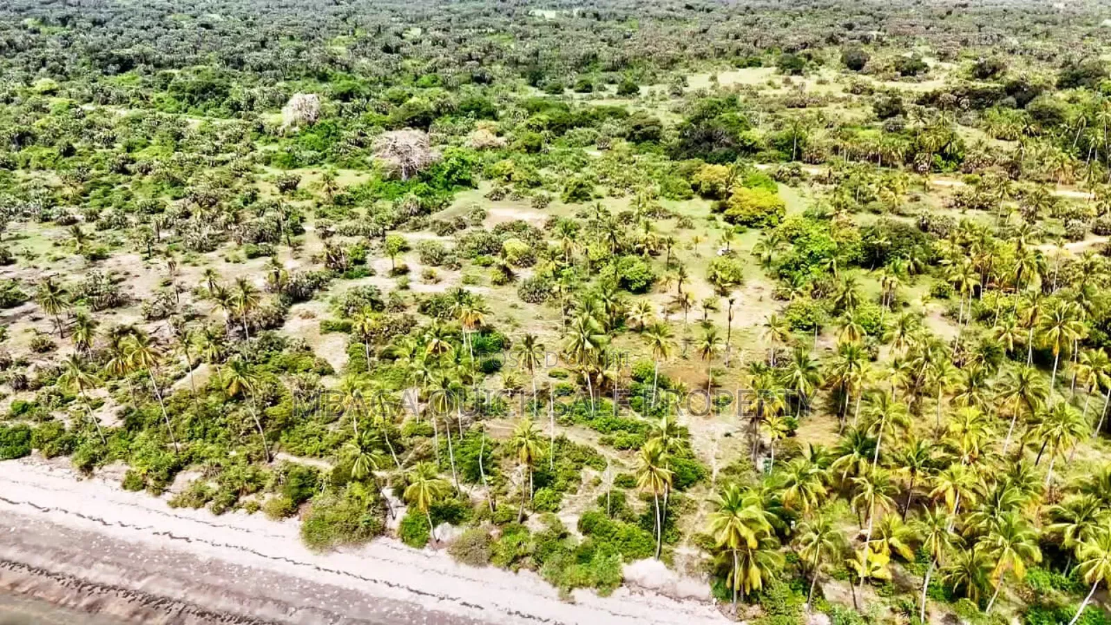 Beach Plot With 40 Acres for Sale at Mkwaja Tanga
