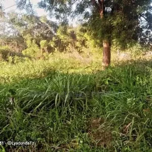 Plot Area Sqm4000 for Sale at Visiga Kibaha