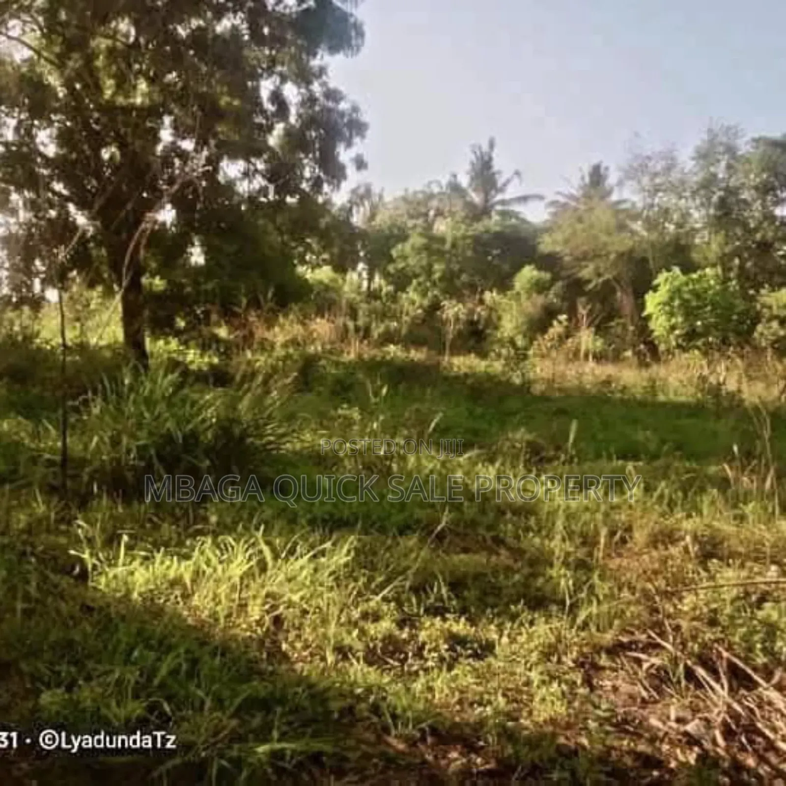 Plot Area Sqm4000 for Sale at Visiga Kibaha