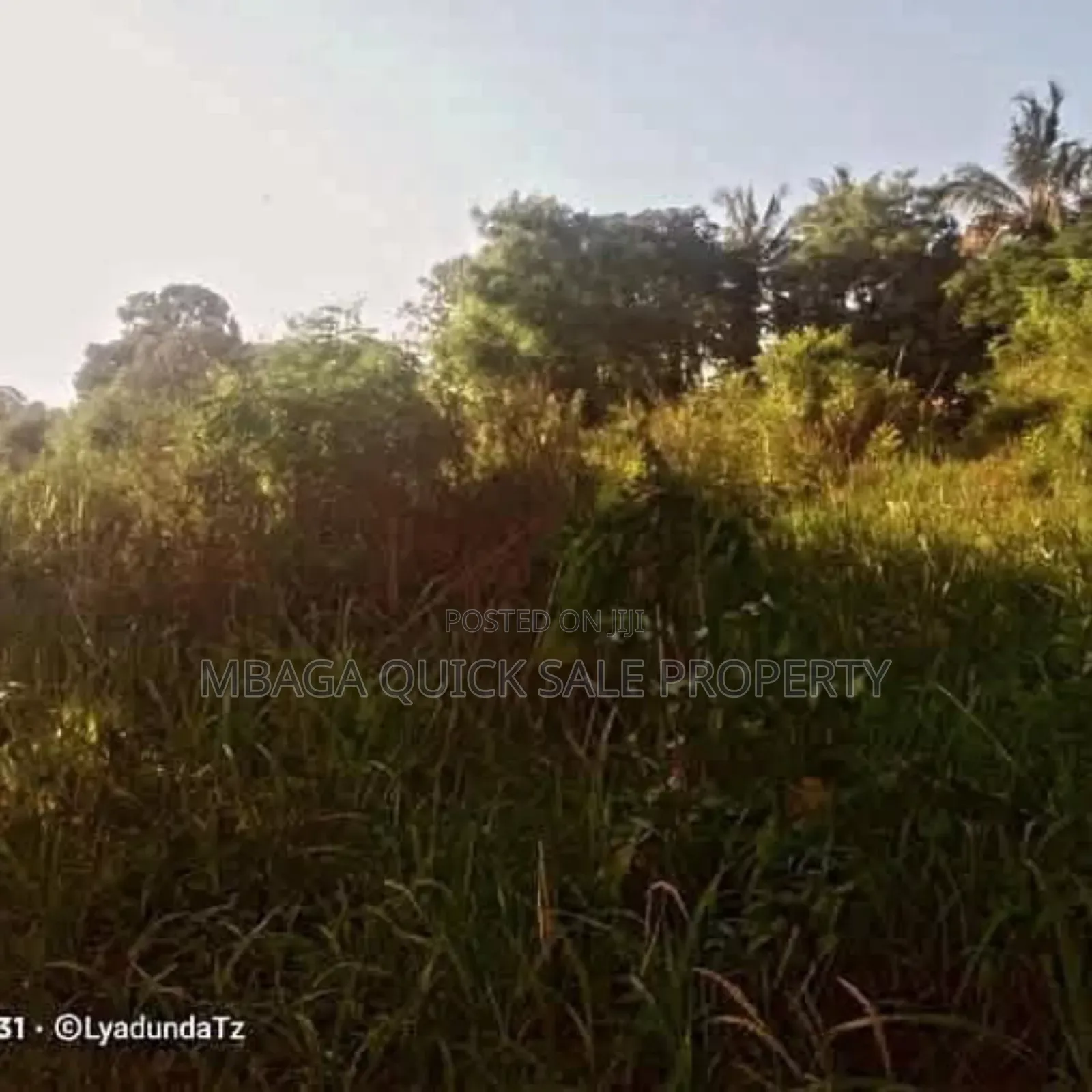 Plot Area Sqm4000 for Sale at Visiga Kibaha