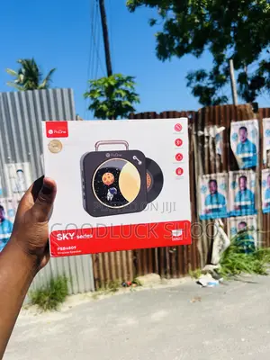 Proone Psb4809 Portable Speaker