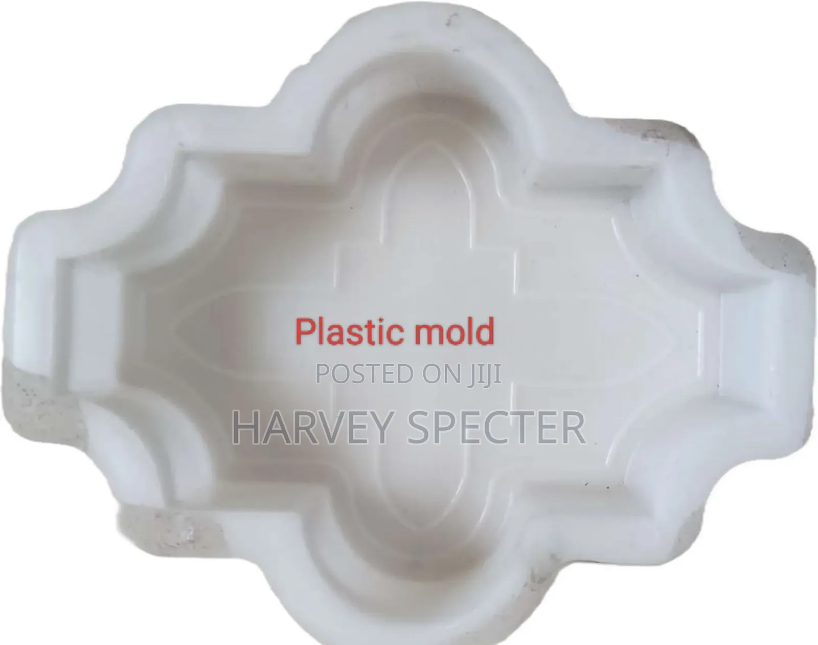 Plastic Mould of Paving Blocks, Paving Blocks