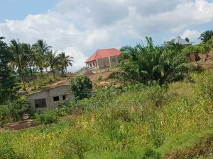 Viwanja Vizuri Sana Vinauzwa Chanika