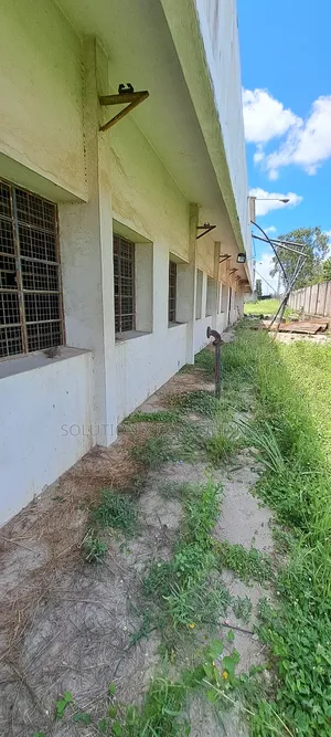 Warehouse for Rent at Mabibo