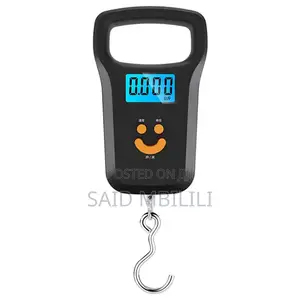 Portable Scale
