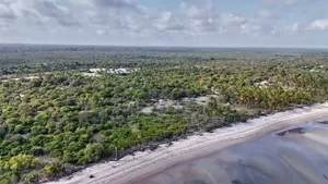 40acres Beach Plot for Sale at Pangani Tanga