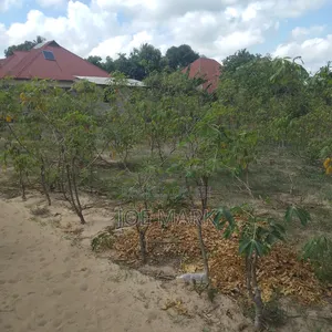 Land for Sale at Kibaha