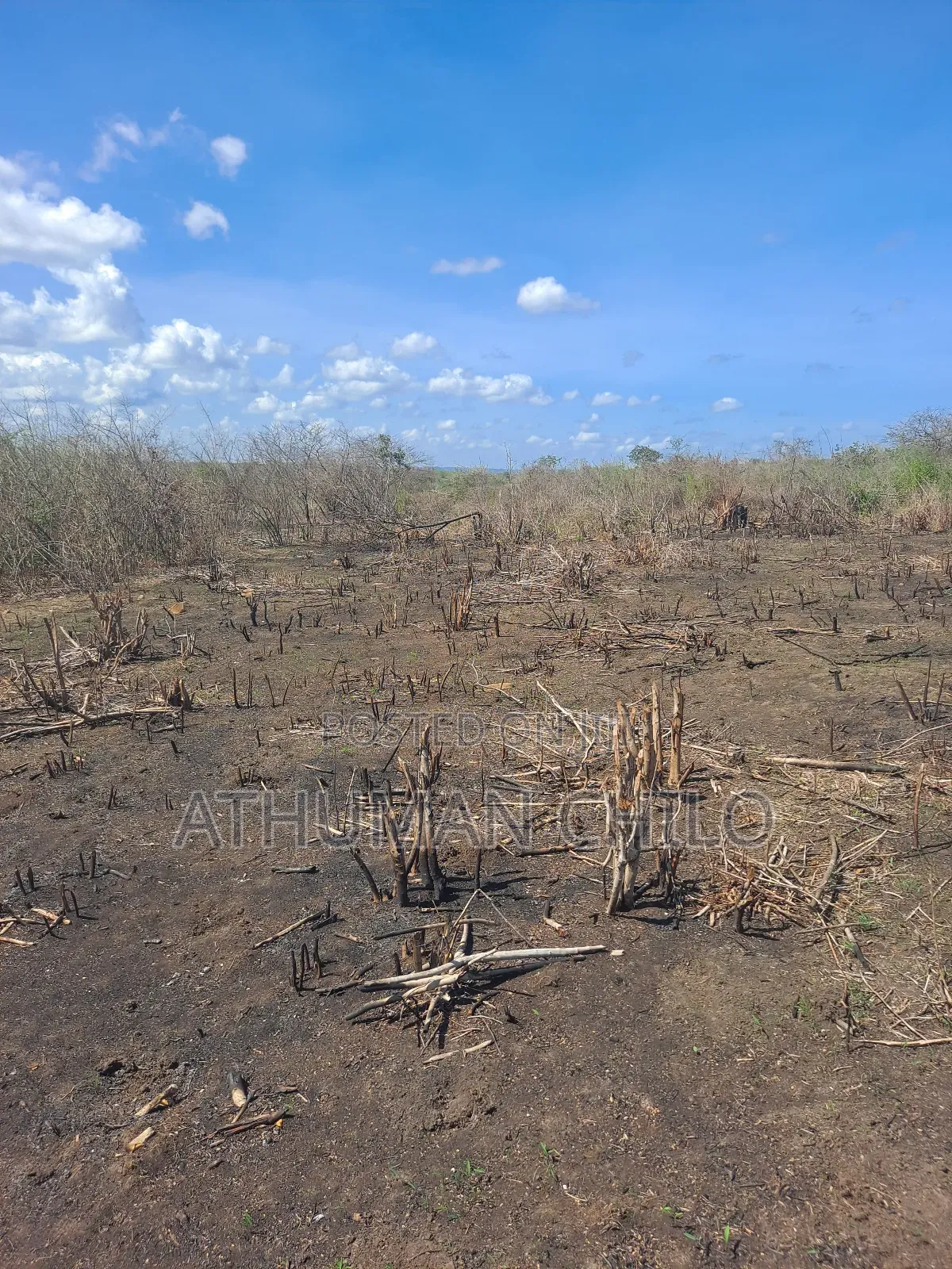 Shamba Linauzwa Lipo Kiwangwa Bagamoyo Pwani
