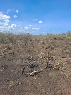 Shamba Linauzwa Lipo Kiwangwa Bagamoyo Pwani