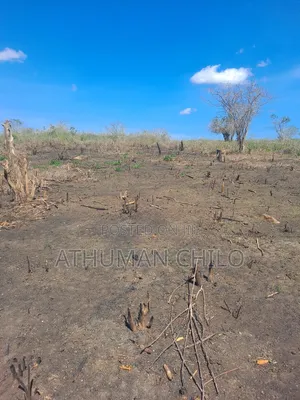 Shamba Linauzwa Lipo Kiwangwa Bagamoyo Pwani