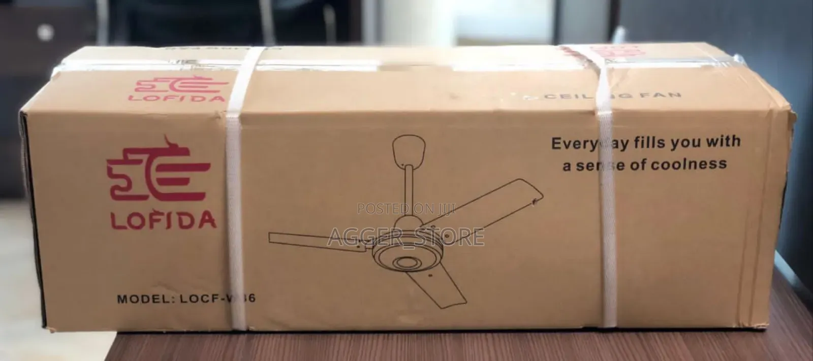 Rofida Ceiling Fan