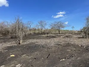 Shamba Linauzwa Kiwangwa Eka 35