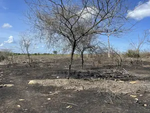 Shamba Linauzwa Kiwangwa Eka 35