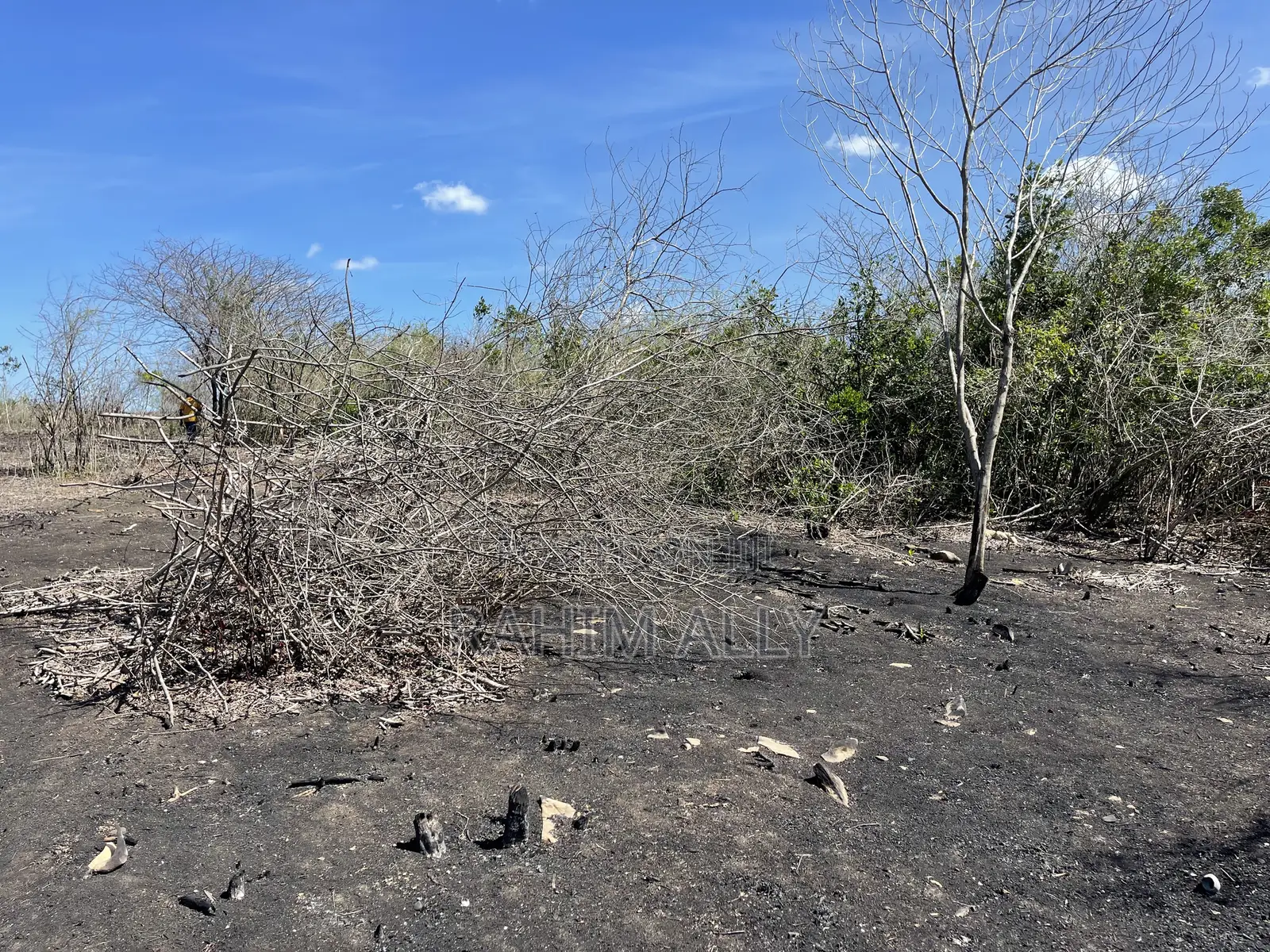 Shamba Linauzwa Kiwangwa Eka 35