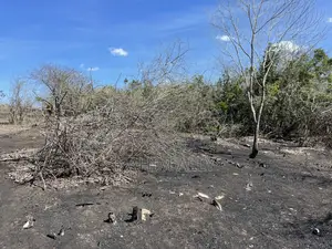Shamba Linauzwa Kiwangwa Eka 35