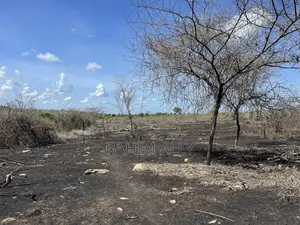 Shamba Linauzwa Kiwangwa Eka 35