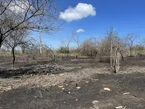 Shamba Linauzwa Kiwangwa Eka 35