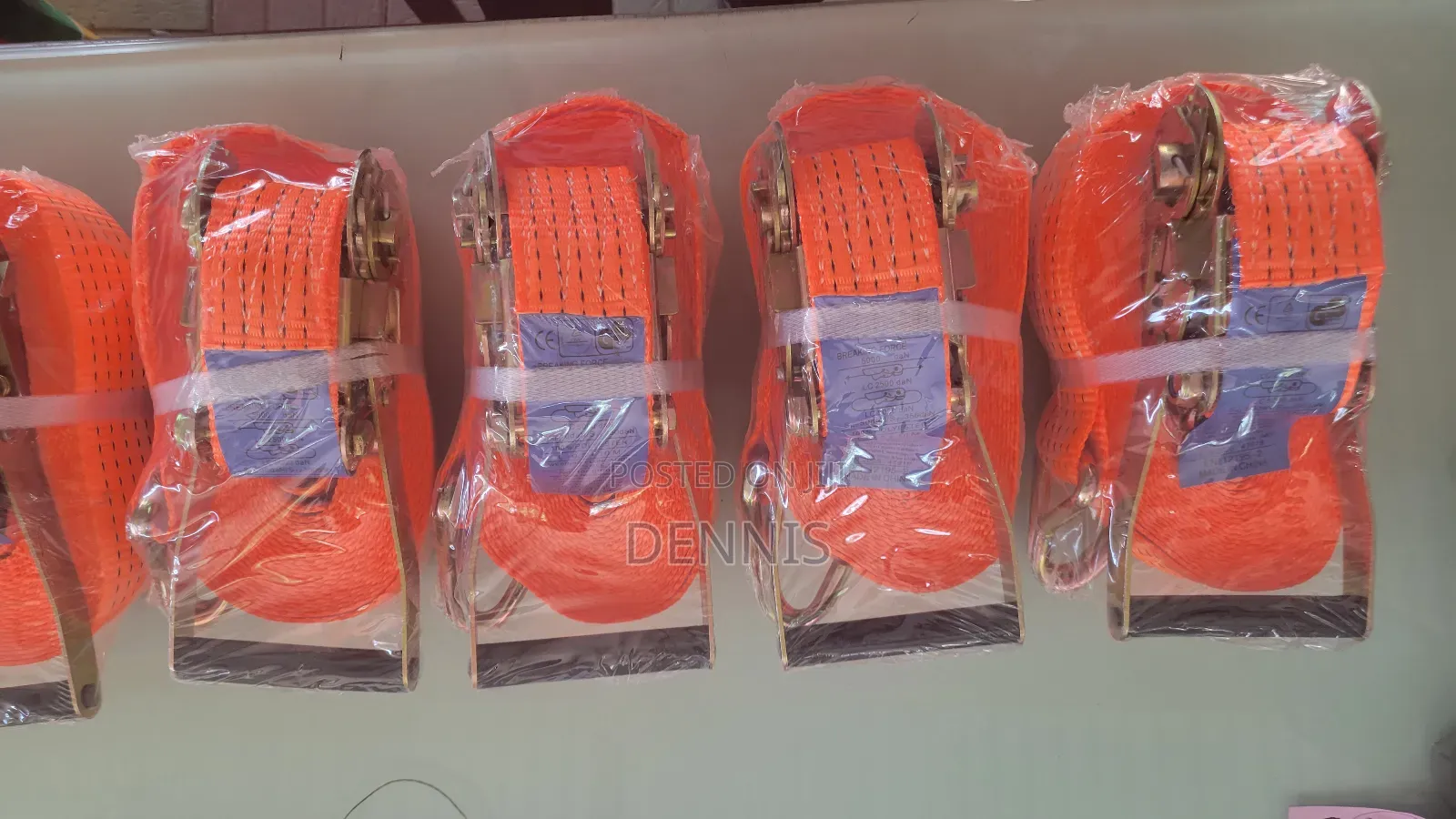Cargo Strap/Belt 10m 5t