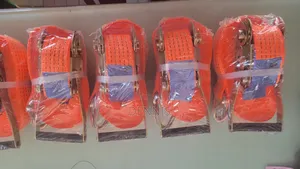 Cargo Strap/Belt 10m 5t