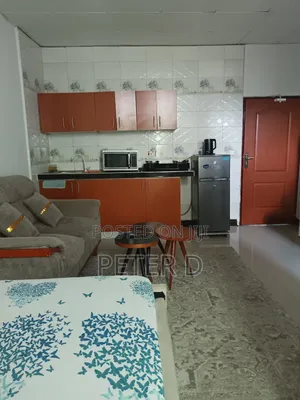 Furnished 1bdrm Apartment in Kinondoni for rent