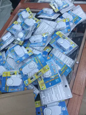Electronic Alarm