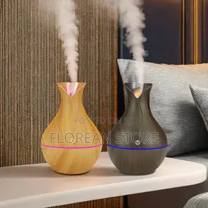 Vase Diffuser/ Diffuser Ya Muundo Wa Kibuyu
